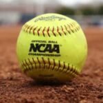 Group logo of Softball
